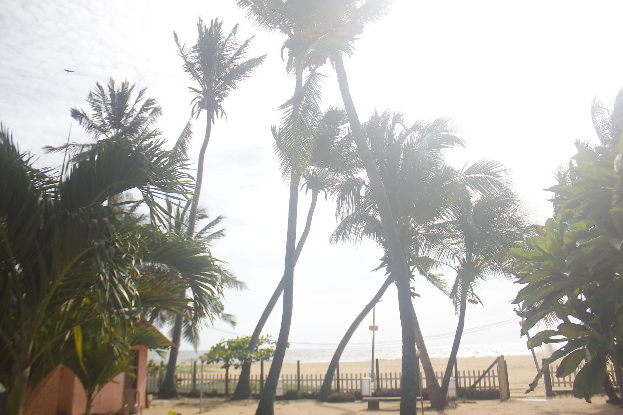 Star Beach Guest House Negombo Extérieur photo